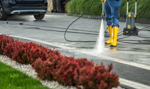 Best Dumpster Area Cleaning  in Port Ewen, NY
